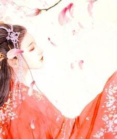 六州歌头少年志